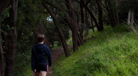 Walking Tracks and Trails